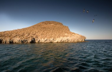 Isla Grosa - La Manga yakınındaki İspanyol Adası