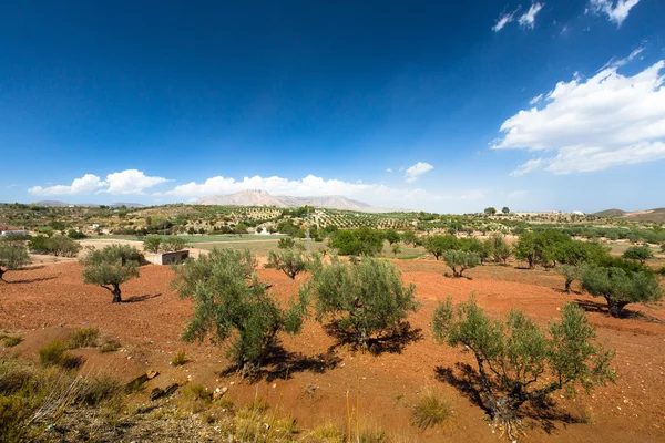 Naturen av Spanien, landsbygdens landskap — Stockfoto