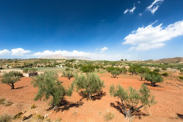 Naturen av Spanien, landsbygdens landskap — Stockfoto