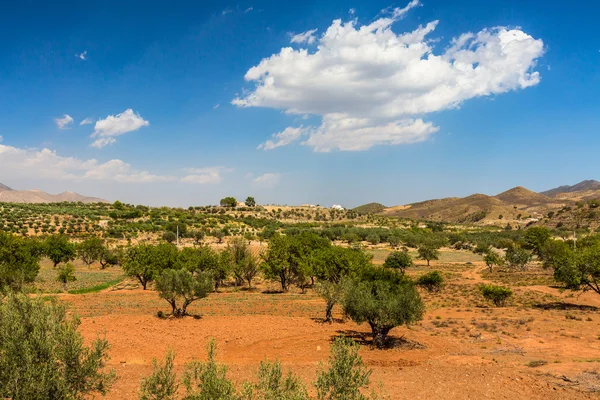 İspanya, kırsal manzara doğa — Stok fotoğraf