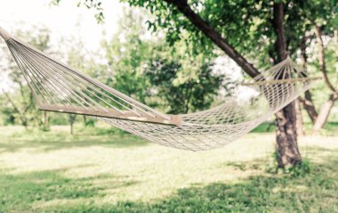 Ağaçların arasında beyaz hamak