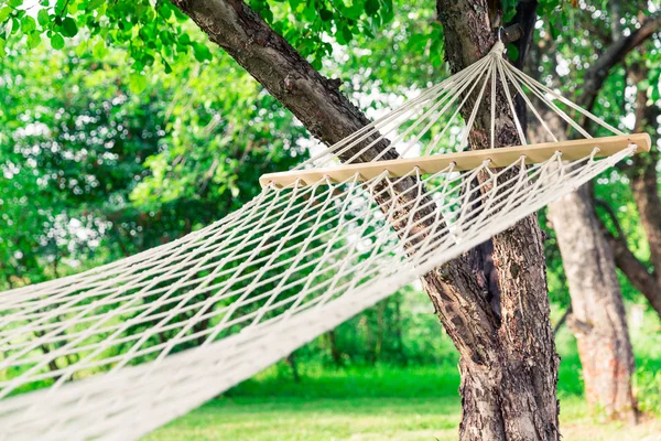 White hammock among the trees