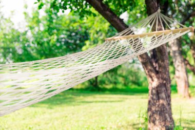 Ağaçların arasında beyaz hamak