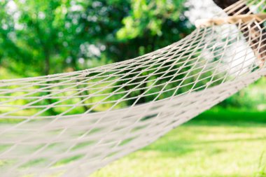 Ağaçların arasında beyaz hamak