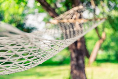 Ağaçların arasında beyaz hamak