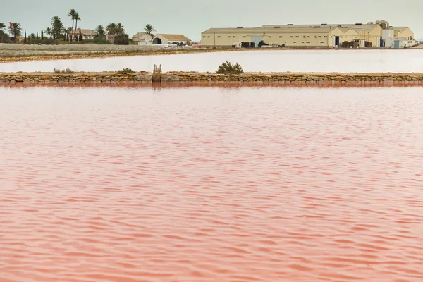 Lac salé rose - Salinas de San Pedro del Pinatar — Photo