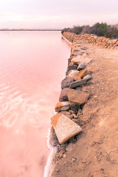 Lac salé rose - Salinas de San Pedro del Pinatar — Photo