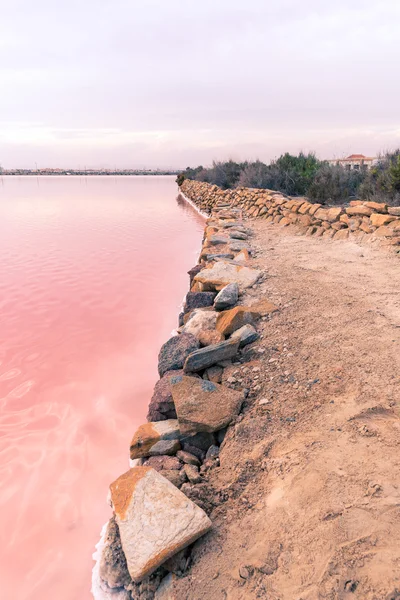 Różowe słone jezioro - Salinas de San Pedro del Pinatar — Zdjęcie stockowe