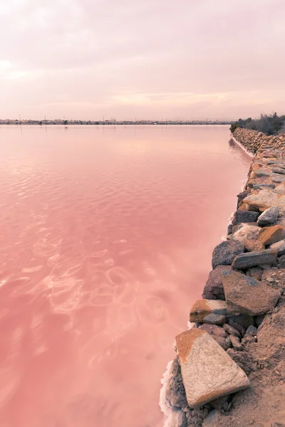 Różowe słone jezioro - Salinas de San Pedro del Pinatar — Zdjęcie stockowe