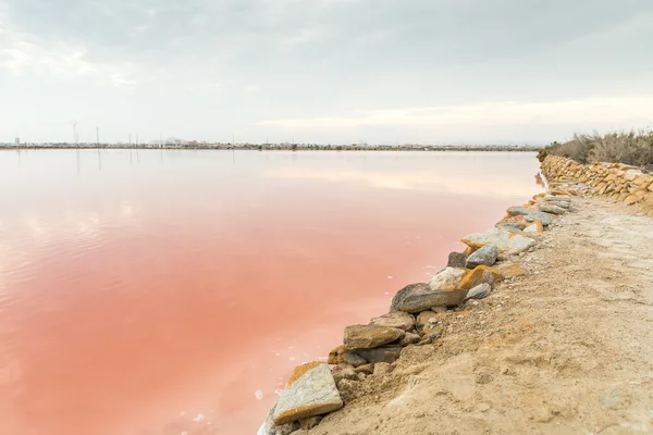 Lac salé rose - Salinas de San Pedro del Pinatar — Photo