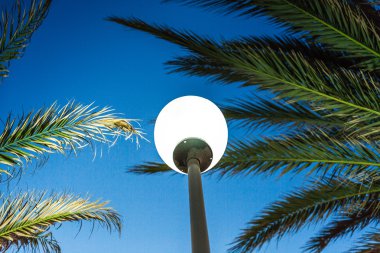 Mavi gökyüzü karşı fener ve palmiye ağaçları