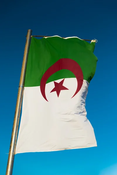 Drapeau national de l'Algérie sur mât — Photo