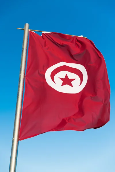 Bendera nasional Tunisia pada tiang bendera — Stok Foto