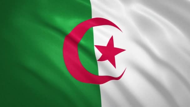 Argelia. ondeando bandera vídeo fondo — Vídeos de Stock