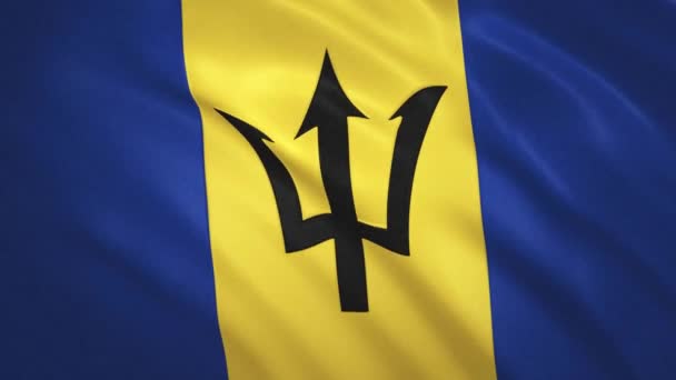 Barbados . Waving Flag Video Achtergrond — Stockvideo