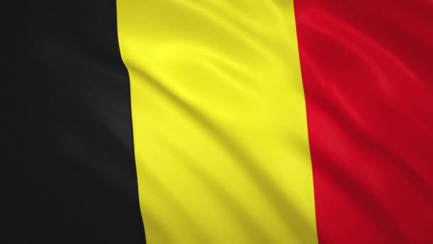 Belçika. Sallanan Bayrak Video Arkaplanı — Stok video