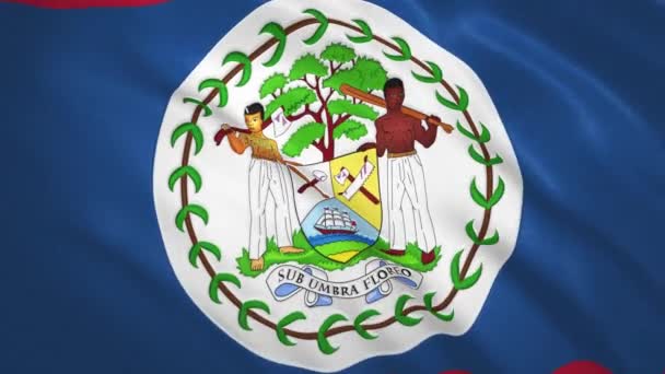 Belize . Sfondo video della bandiera sventolante — Video Stock