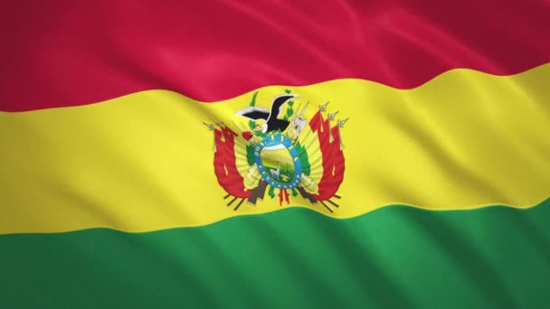 ボリビア。旗のビデオの背景を振る — ストック動画