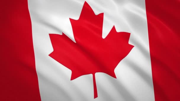 Kanada. Vifta Flagga Video Bakgrund — Stockvideo