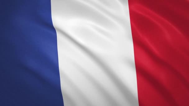 In Francia. Sfondo video della bandiera sventolante — Video Stock
