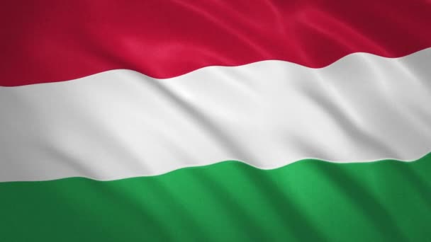 Ungern. Vifta Flagga Video Bakgrund — Stockvideo