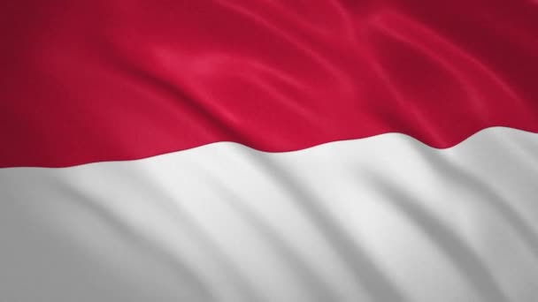Indonézia. Waving zászló videó háttér — Stock videók
