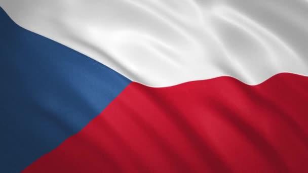 Czech Republic . Waving Flag Video Background — Stock Video