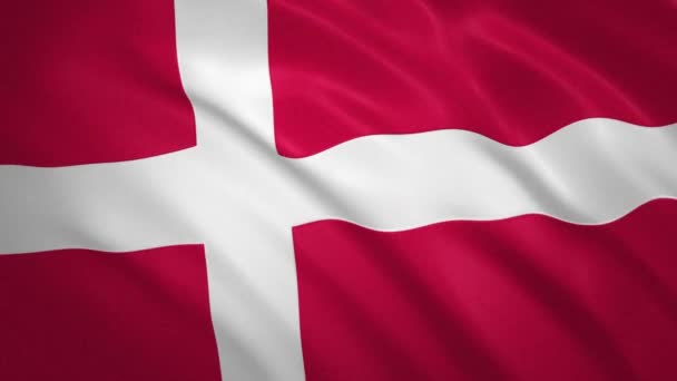 Denmark . Mengayunkan Latar Belakang Video Bendera — Stok Video