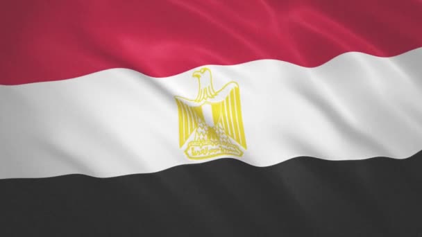 Ägypten. Video-Hintergrund zum Fahnenschwenken — Stockvideo