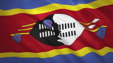 Eswatini . Sallanan Bayrak Video Arkaplanı