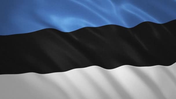 Estonia . ondeando bandera vídeo fondo — Vídeo de stock