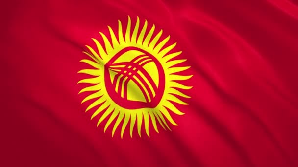 Kirgizistan. Vifta Flagga Video Bakgrund — Stockvideo