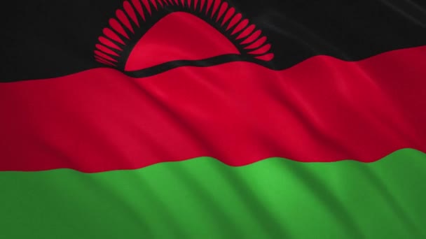 Malawi . Sfondo video della bandiera sventolante — Video Stock