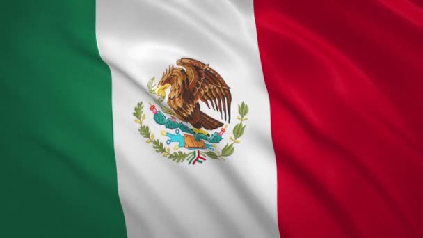 México. ondeando bandera vídeo fondo — Vídeo de stock