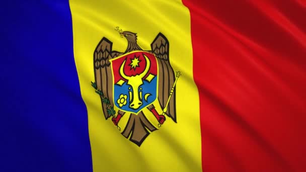 Moldova . Видеофон для размахивания флагом — стоковое видео