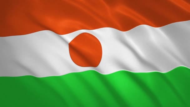 Niger . Sfondo video della bandiera sventolante — Video Stock