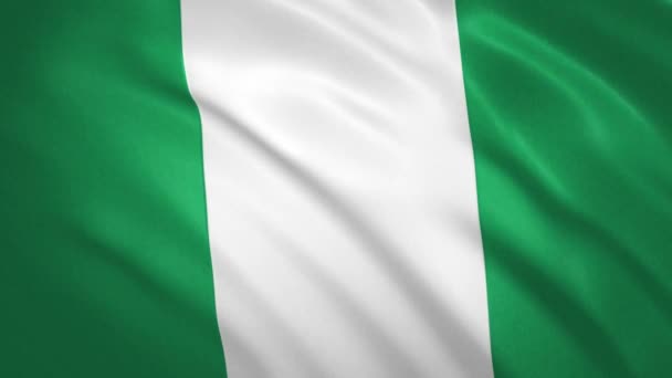 Nigeria . Waving Flag Video Achtergrond — Stockvideo