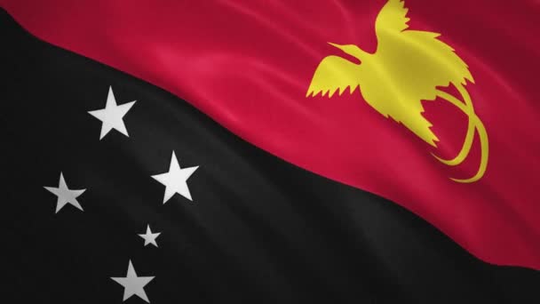 Παπούα Νέα Γουινέα. Κυματιστό φόντο βίντεο σημαίας — Αρχείο Βίντεο