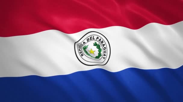 巴拉圭。飘扬的旗帜视频背景 — 图库视频影像