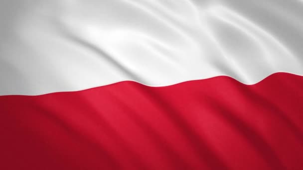 Polen. Waving Flag Video Achtergrond — Stockvideo