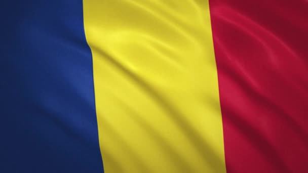 Rumania. Mengayunkan Latar Belakang Video Bendera — Stok Video