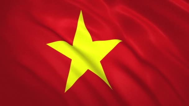 Vietnam . Sfondo video della bandiera sventolante — Video Stock