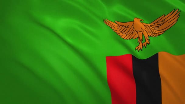 Zambia . Waving Flag Video Achtergrond — Stockvideo