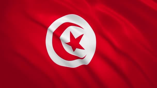 Tunisia . Sfondo video della bandiera sventolante — Video Stock