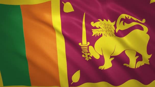 Sri Lanka . Waving Flag Video Achtergrond — Stockvideo