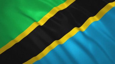 Tanzanya 'da. Sallanan Bayrak Video Arkaplanı