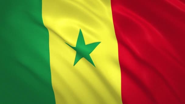 Senegal . Bandeira acenando fundo de vídeo — Vídeo de Stock