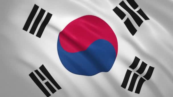 Sydkorea. Vifta Flagga Video Bakgrund — Stockvideo