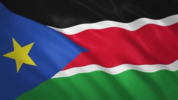 Südsudan. Video-Hintergrund zum Fahnenschwenken — Stockvideo