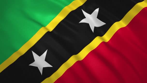 Saint Kitts and Nevis . Waving Flag Video Background — стоковое видео